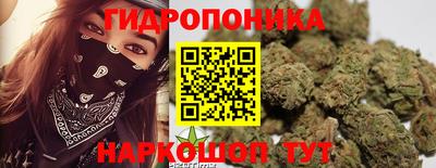 mdma Новозыбков