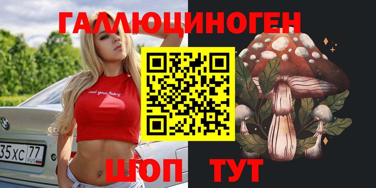 где купить наркотик  Галлюциногенные грибы Psilocybine cubensis  Вход с VPN  Галлюциногенные грибы Cubensis  Саяногорск 